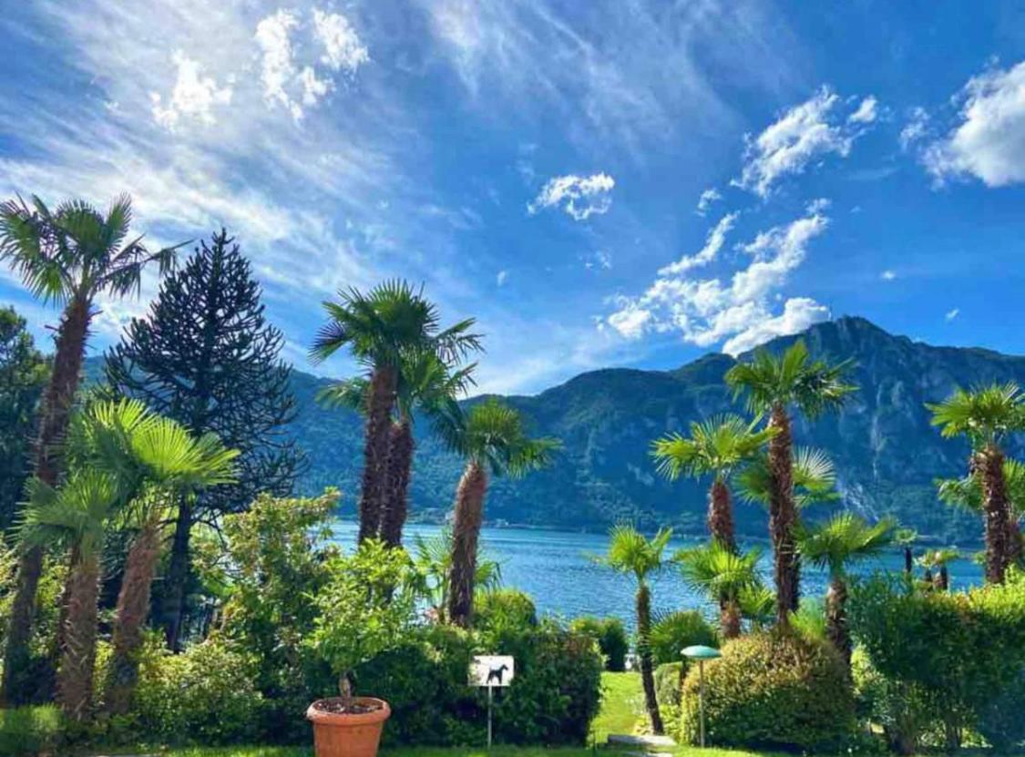 Bellavista Apartment Bissone Esterno foto